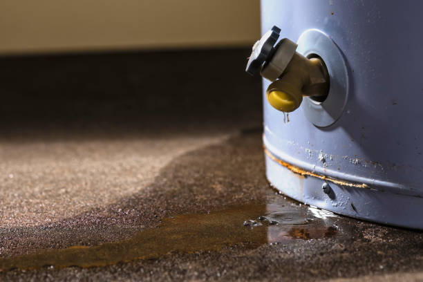 Carpet water damage restoration in CA
