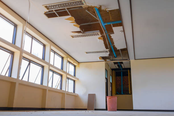 Best Carpet water damage restoration  in La Crescenta Montrose, CA