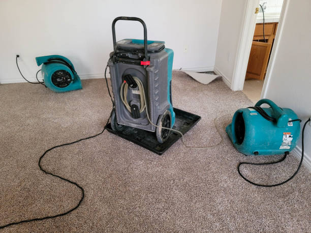 Best Professional water damage repair  in La Crescenta Montrose, CA