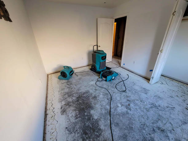 Best 24-hour water damage restoration  in La Crescenta Montrose, CA