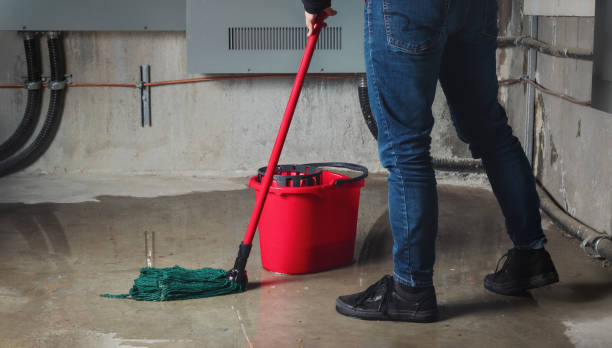 Best Water damage restoration experts  in La Crescenta Montrose, CA