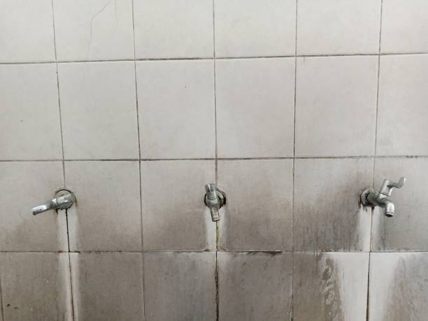 Best Commercial water damage restoration  in La Crescenta Montrose, CA