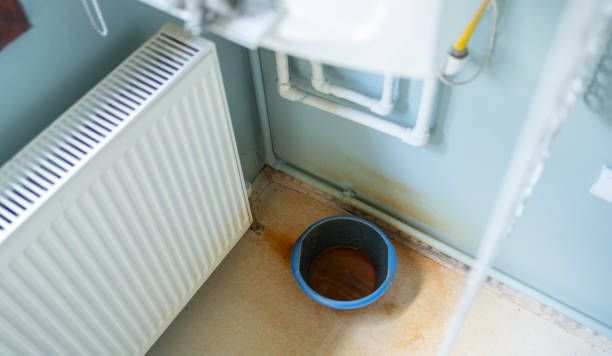 Best Ceiling water damage repair  in La Crescenta Montrose, CA