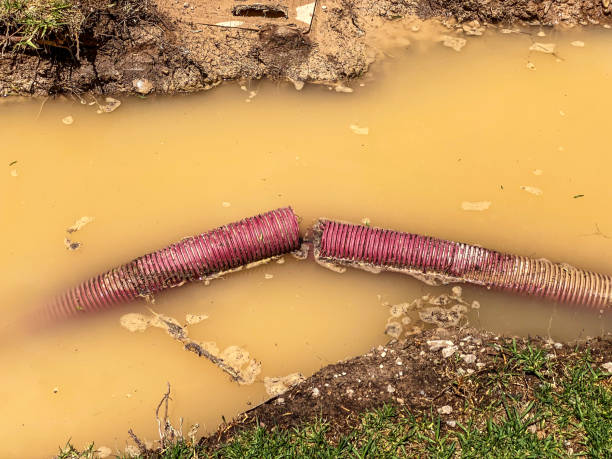 Best Water damage cleanup near me  in La Crescenta Montrose, CA