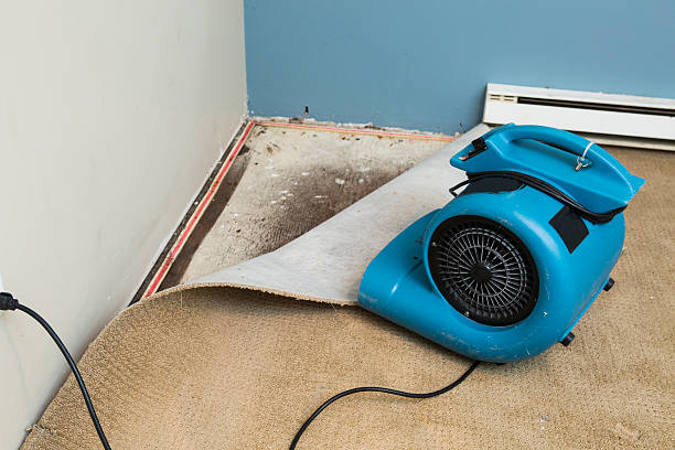 Best Water damage repair service  in La Crescenta Montrose, CA